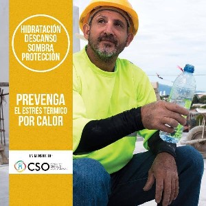 Afiche 2  PREVENGA